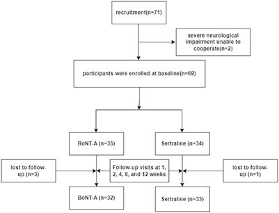 A novel approach to treating post-stroke depression: administration of Botulinum Toxin A via local facial injection